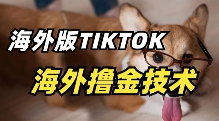 抖音海外版tiktok撸金技术，这个风口行业，赚钱真的不难【揭秘】_学通网创