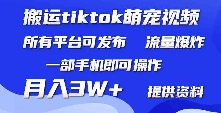 （9618期）搬运Tiktok萌宠类视频，一部手机即可。所有短视频平台均可操作，月入3W+_学通网创