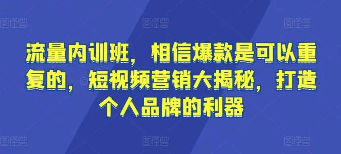 流量内训班，相信爆款是可以重复的，短视频营销大揭秘，打造个人品牌的利器_学通网创