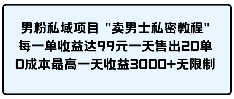 （9730期）男粉私域项目 “卖男士私密教程” 每一单收益达99元一天售出20单_学通网创