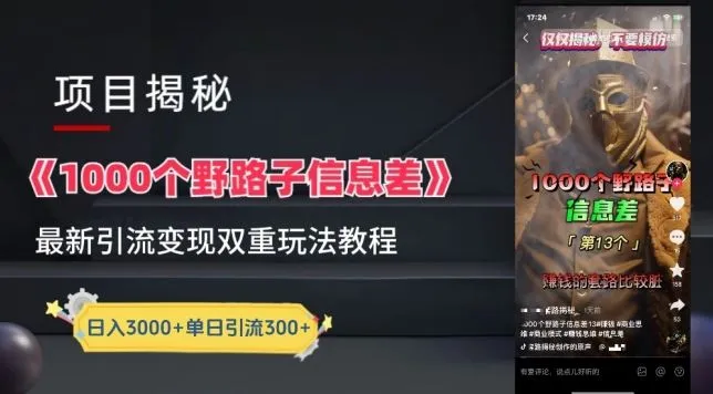 一千个野路子信息差最新玩法教程-变现+引流的玩法具体拆解【揭秘】_学通网创