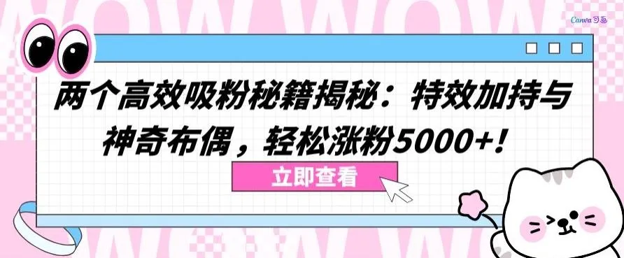 两个高效吸粉秘籍揭秘：特效加持与神奇布偶，轻松涨粉5000+【揭秘】_学通网创