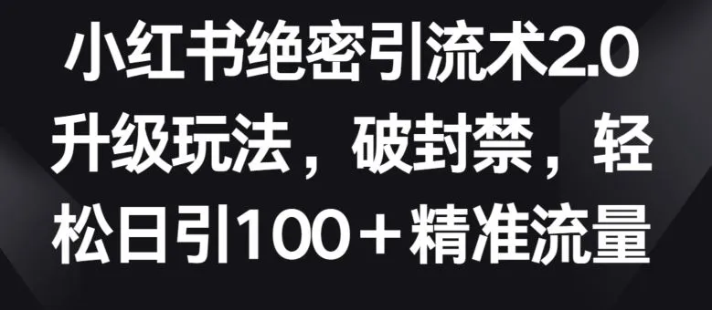 小红书绝密引流术2.0升级玩法，破封禁，轻松日引100+精准流量【揭秘】_学通网创