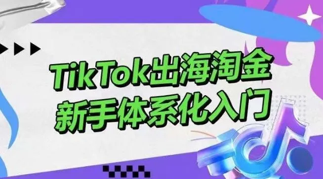 TikTok出海淘金，新手体系化入门，零基础快速入门，掌握短视频、直播带货等引流到变现的知识_学通网创