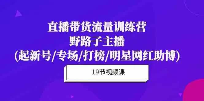 （10016期）直播带货流量特训营，野路子主播(起新号/专场/打榜/明星网红助博)19节课_学通网创