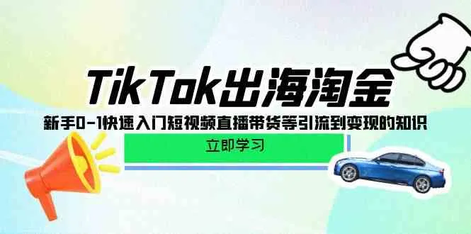 （10035期）TikTok-出海淘金，新手0-1快速入门短视频直播带货等引流到变现的知识_学通网创