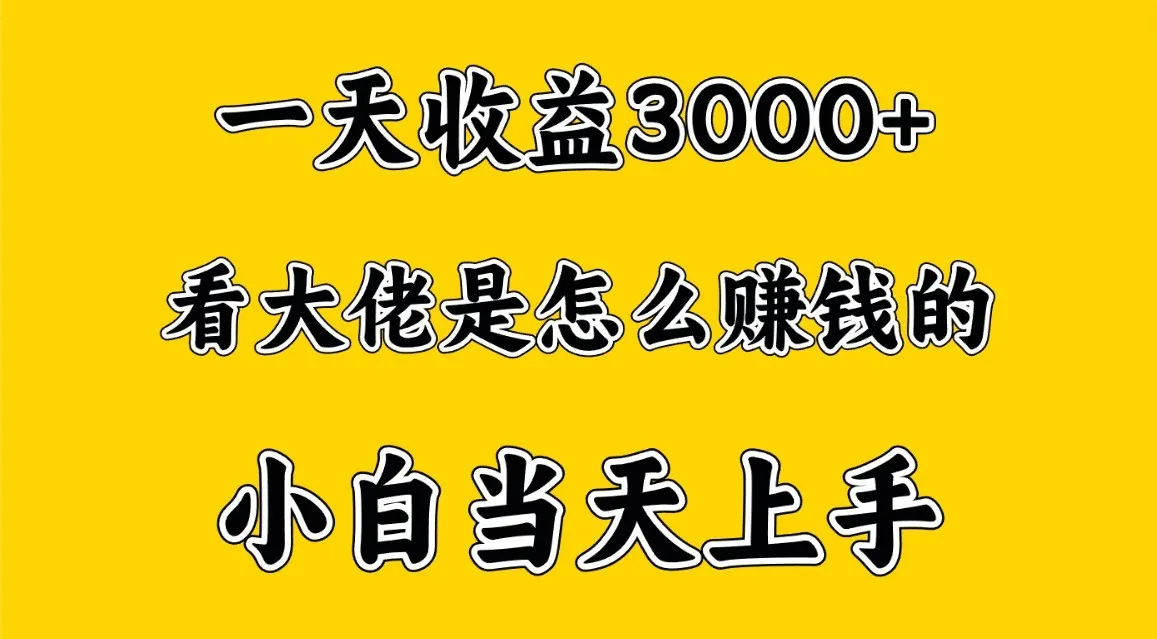 一天赚3000多，大佬是这样赚到钱的，小白当天上手，穷人翻身项目_学通网创
