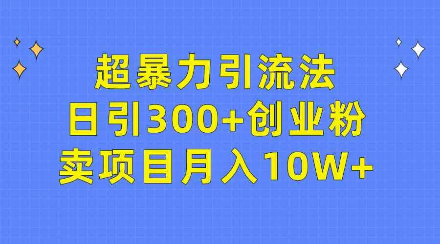 （9954期）超暴力引流法，日引300+创业粉，卖项目月入10W+_学通网创