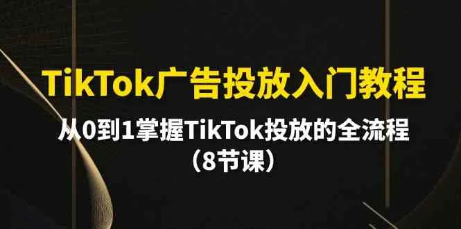 （10085期）TikTok广告投放入门教程，从0到1掌握TikTok投放的全流程（8节课）_学通网创
