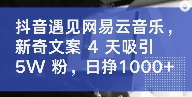 抖音遇见网易云音乐，新奇文案 4 天吸引 5W 粉，日挣1000+【揭秘】_学通网创