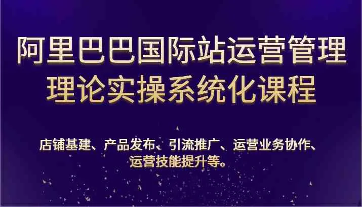 阿里巴巴国际站运营管理理论实操系统化课程：基建、发布、推广、协作、技能提升等_学通网创