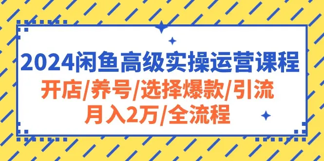（10711期）2024闲鱼高级实操运营课程：开店/养号/选择爆款/引流/月入2万/全流程_学通网创