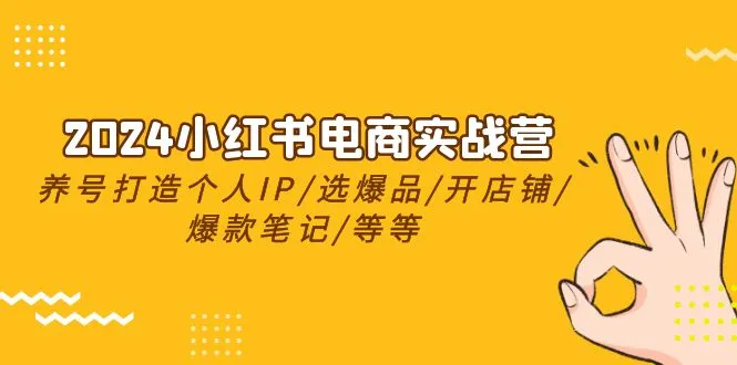 （10375期）2024小红书电商实战营，养号打造IP/选爆品/开店铺/爆款笔记/等等（24节）_学通网创