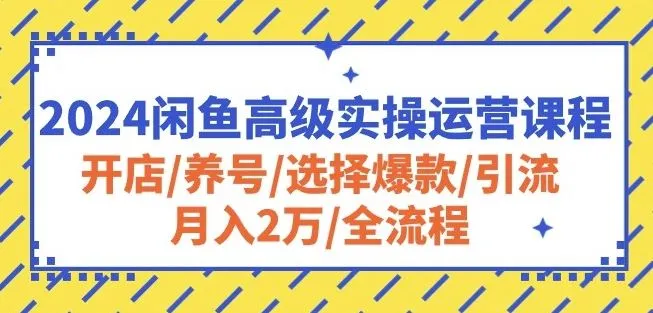2024闲鱼高级实操运营课程：开店/养号/选择爆款/引流/月入2万/全流程_学通网创