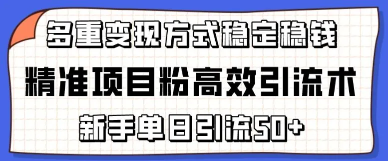 精准项目粉高效引流术，新手单日引流50+，多重变现方式稳定赚钱【揭秘】_学通网创