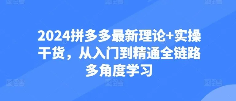 2024拼多多最新理论+实操干货，从入门到精通全链路多角度学习_学通网创