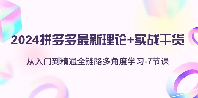 （10816期）2024拼多多 最新理论+实战干货，从入门到精通全链路多角度学习-7节课_学通网创