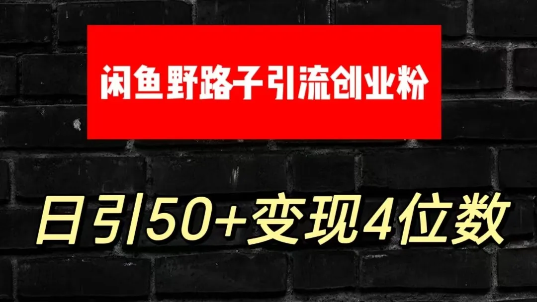 大眼闲鱼野路子引流创业粉，日引50+单日变现四位数_学通网创