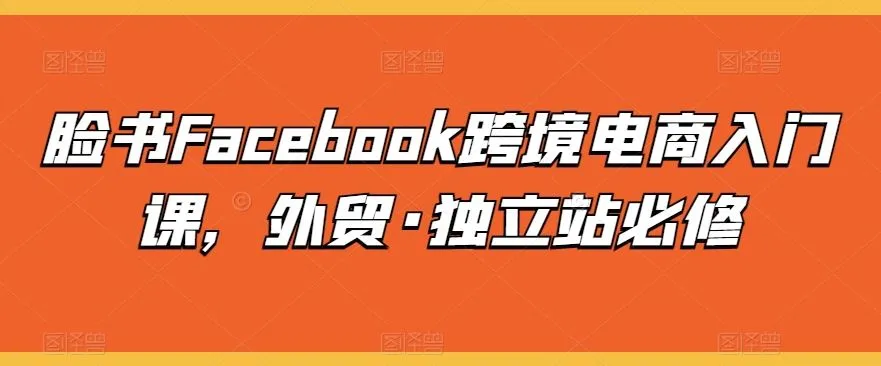 脸书Facebook跨境电商入门课，外贸·独立站必修_学通网创