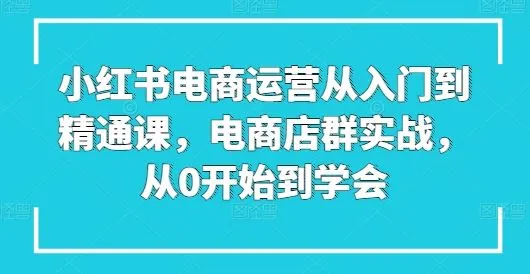小红书电商运营从入门到精通课，电商店群实战，从0开始到学会_学通网创