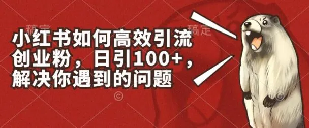 小红书如何高效引流创业粉,日引100+,解决你遇到的问题【揭秘】_学通网创