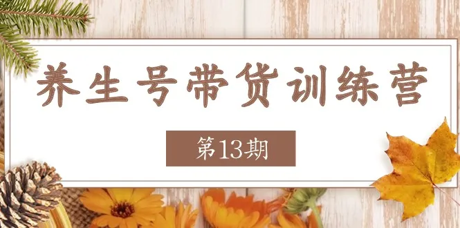 养生号带货训练营【第13期】收益更稳定的玩法，让你带货收益爆炸_学通网创