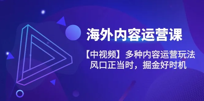 (10833期)海外内容 运营课【中视频】多种内容运营玩法 风口正当时 掘金好时机-101节_学通网创