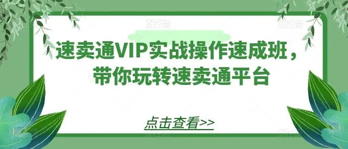 速卖通VIP实战操作速成班，带你玩转速卖通平台_学通网创