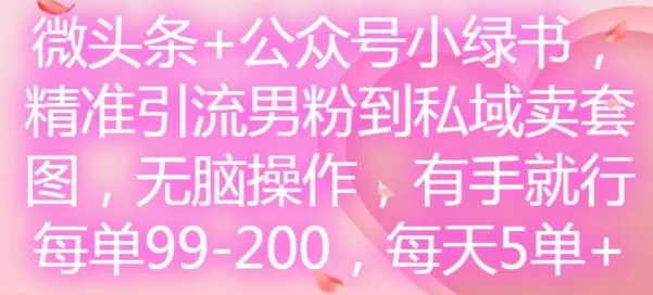 微头条+公众号小绿书，精准引流男粉到私域卖套图，无脑操作，有手就行，每单99-200，每天5单_学通网创