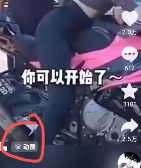 2024年7月苹果手机动图搬运技术_学通网创