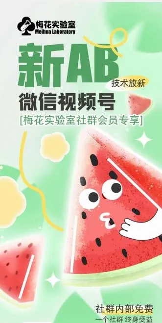 梅花实验室2024年AB技术视频号AB合成破解版_学通网创