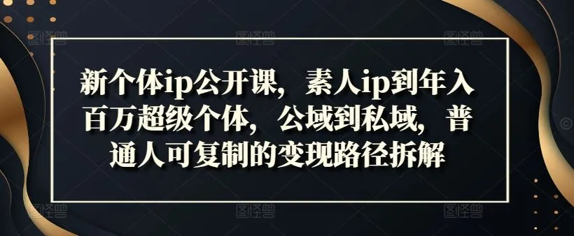 新个体ip公开课，素人ip到年入百万超级个体，公域到私域，普通人可复制的变现路径拆解_学通网创