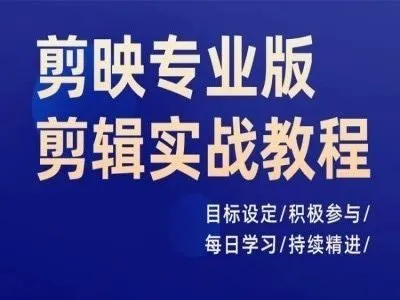 剪映专业版剪辑实战教程，目标设定/积极参与/每日学习/持续精进_学通网创