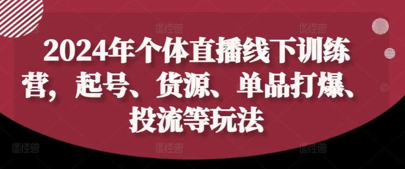 2024年个体直播训练营，起号、货源、单品打爆、投流等玩法_学通网创
