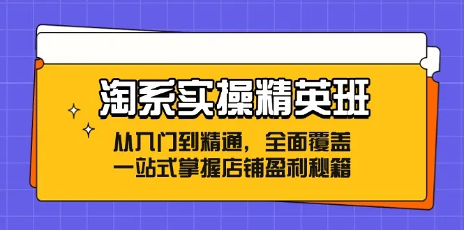 （12276期）淘系实操精英班：从入门到精通，全面覆盖，一站式掌握店铺盈利秘籍_学通网创