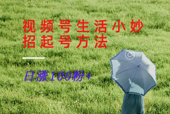 视频号生活小妙招分享赛道， 起号涨粉新方法，日涨100粉_学通网创