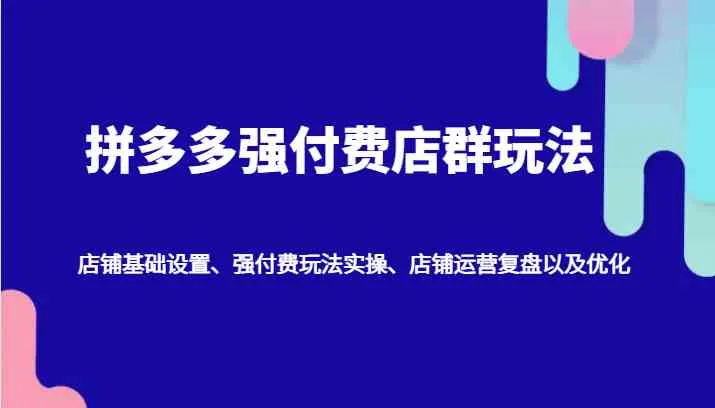 拼多多强付费店群玩法：店铺基础设置、强付费玩法实操、店铺运营复盘以及优化_学通网创