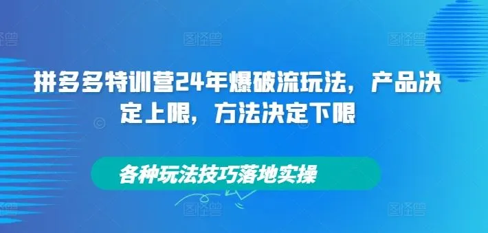 拼多多特训营24年爆破流玩法，产品决定上限，方法决定下限，各种玩法技巧落地实操_学通网创