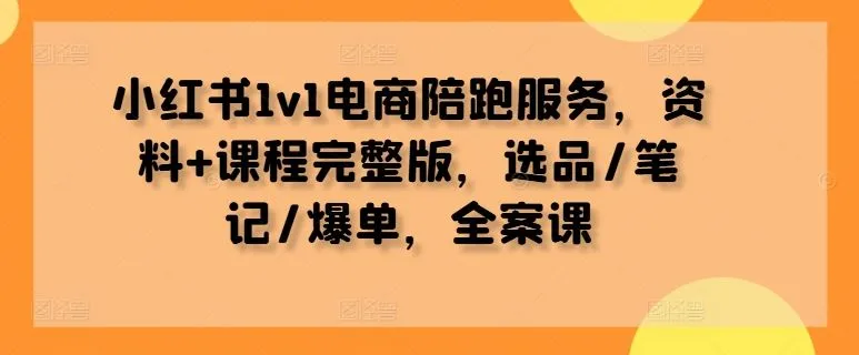 小红书1v1电商陪跑服务，资料+课程完整版，选品/笔记/爆单，全案课_学通网创