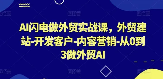AI闪电做外贸实战课，外贸建站-开发客户-内容营销-从0到3做外贸AI（更新）_学通网创