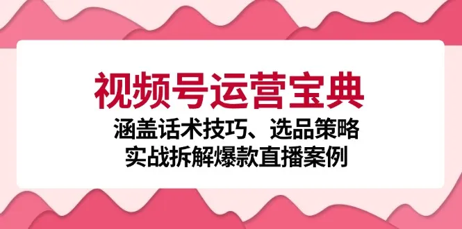 (12808期)视频号运营宝典:涵盖话术技巧、选品策略、实战拆解爆款直播案例_学通网创