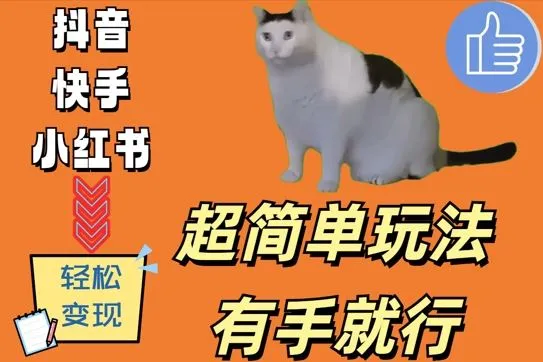 超简单玩法,有手就行,靠猫咪视频日入500+【揭秘】