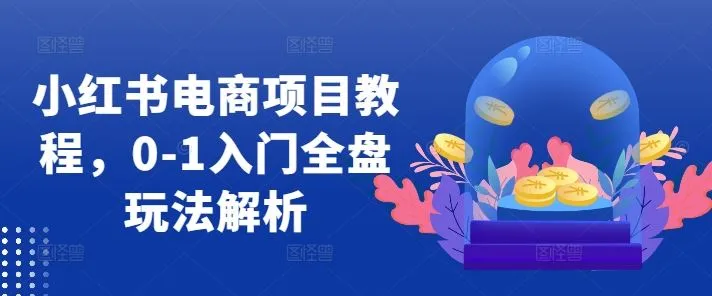 小红书电商项目教程，0-1入门全盘玩法解析_学通网创