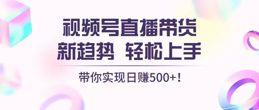 （13370期）视频号直播带货新趋势，轻松上手，带你实现日赚500+_学通网创