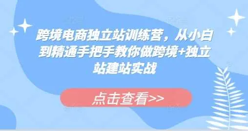 跨境电商独立站训练营，从小白到精通手把手教你做跨境+独立站建站实战_学通网创