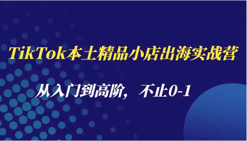 TikTok本土精品小店出海实战营，从入门到高阶，不止0-1_学通网创