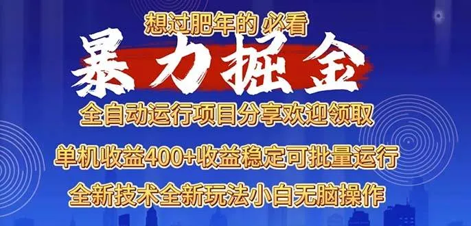 （13675期）2025暴力掘金项目，想过肥年必看！_学通网创