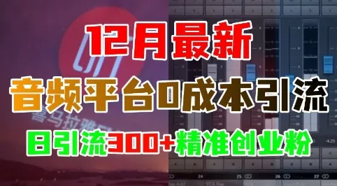 12月最新：音频平台0成本引流，日引流300+精准创业粉_学通网创