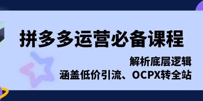 （13700期）拼多多运营必备课程，解析底层逻辑，涵盖低价引流、OCPX转全站_学通网创