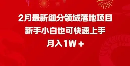 2月最新细分领域落地项目，新手小白也可快速上手，月入1W - 学通网创_学通网创